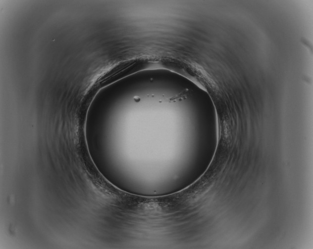 X0000091490588200708231424