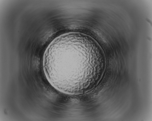 X0000091490592200708231424