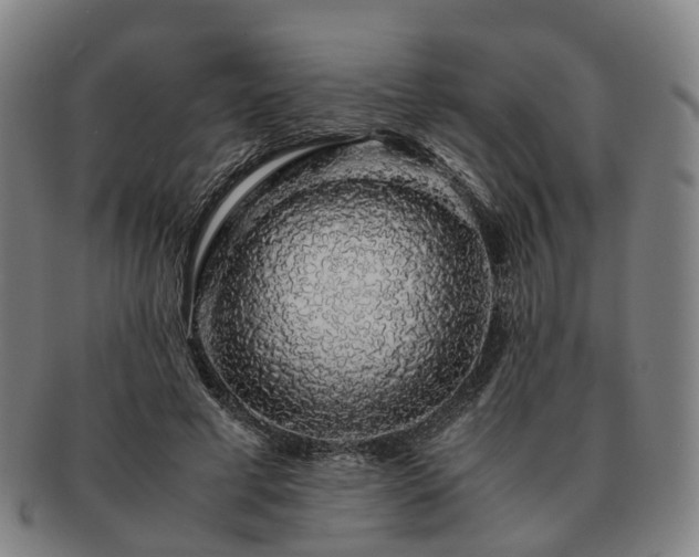 X0000091490593200708231424