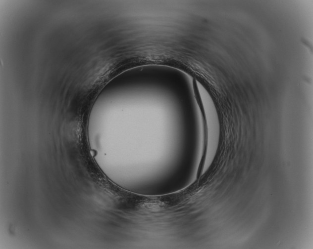 X0000091490595200708231424