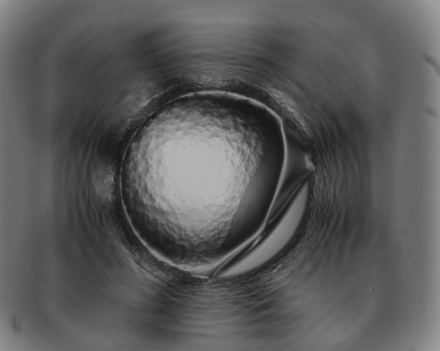 X0000091490596200708231424