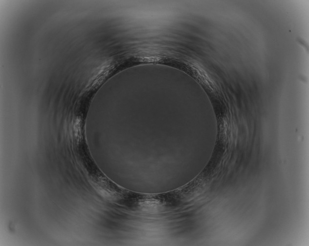X0000091490598200708231423