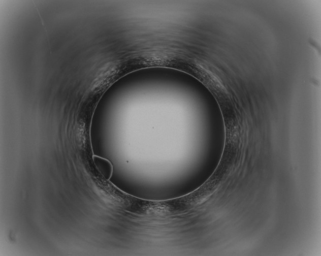 X0000091490599200708231423