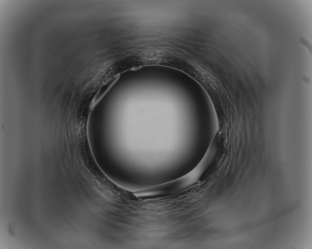 X0000091490601200708231423