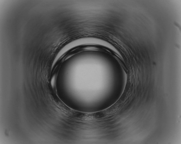 X0000091490604200708231423