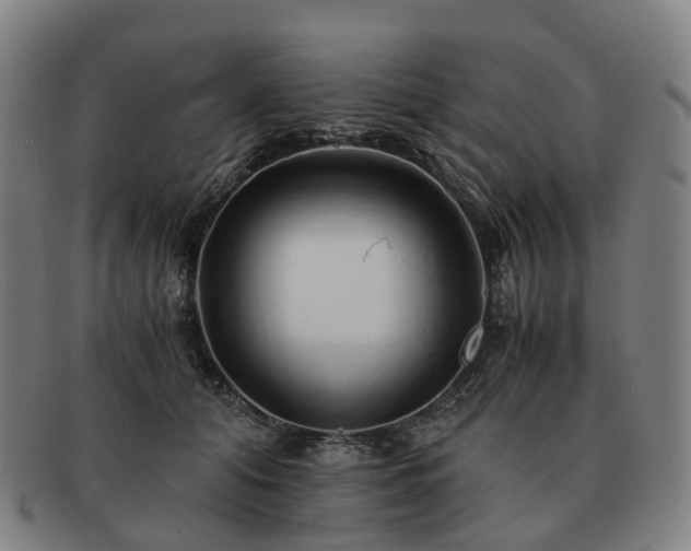 X0000091490608200708231423