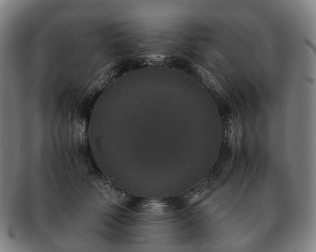 X0000091490610200708231423
