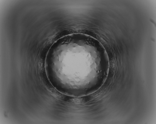X0000091490615200708231423