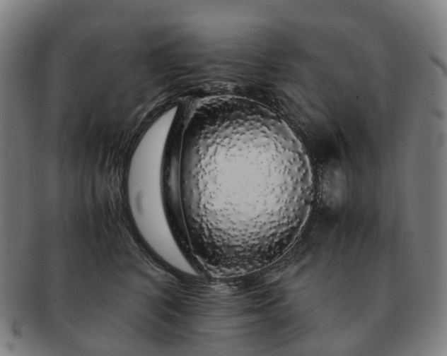 X0000091490616200708231423