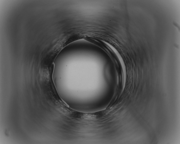 X0000091490617200708231423