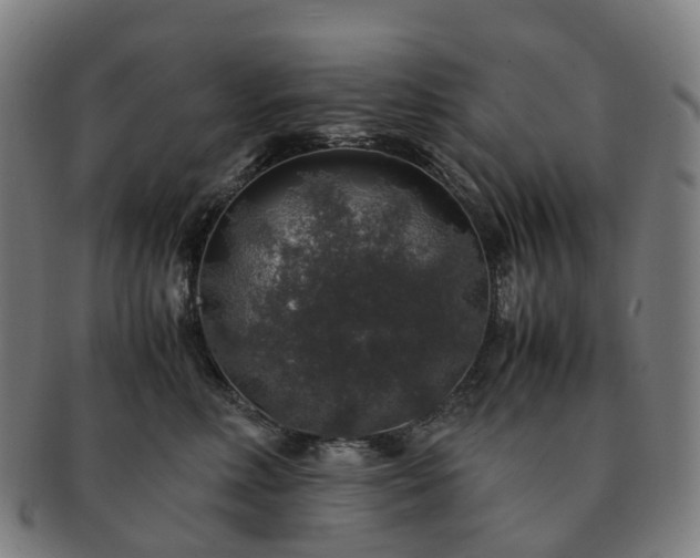 X0000091490618200708231423