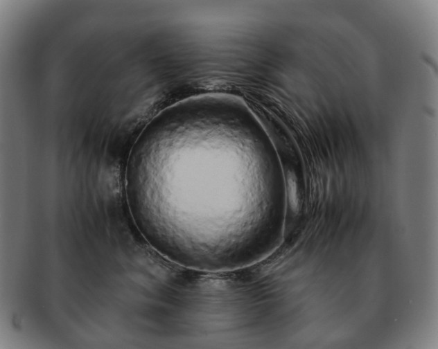 X0000091490620200708231423