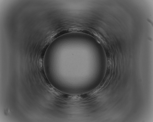 X0000091490621200708231423