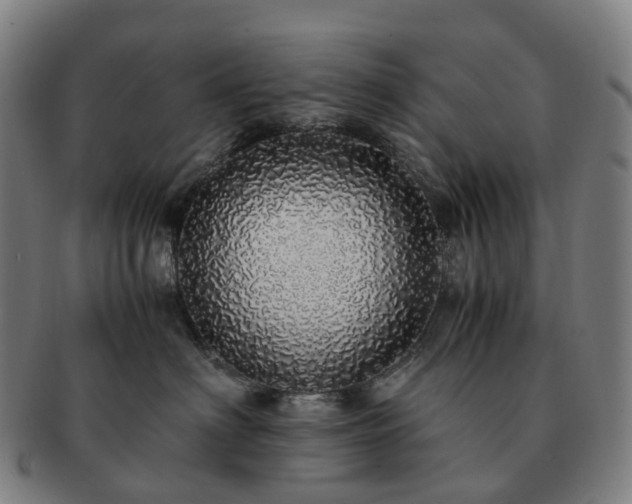 X0000091490622200708231423