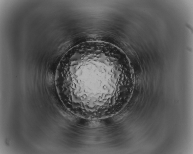 X0000091490623200708231423