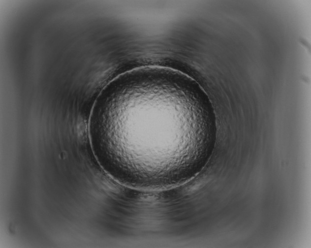 X0000091490624200708231423