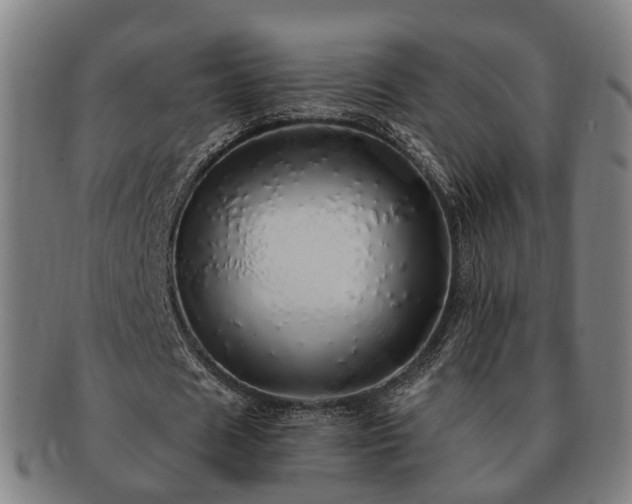 X0000091490625200708231422