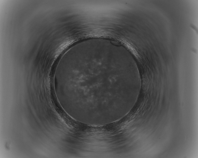 X0000091490626200708231422