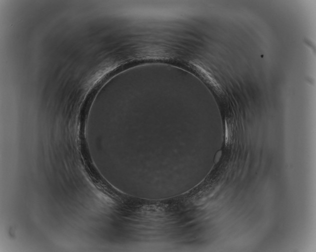 X0000091490627200708231422