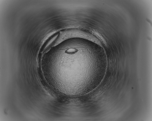 X0000091490628200708231423