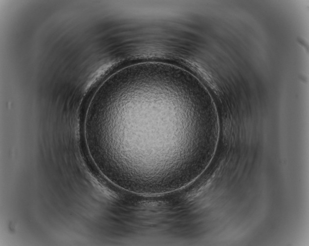 X0000091490629200708231423