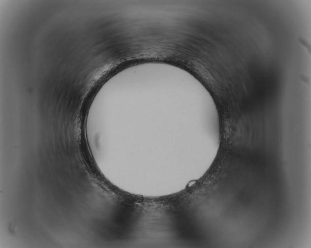 X0000091490632200708231423