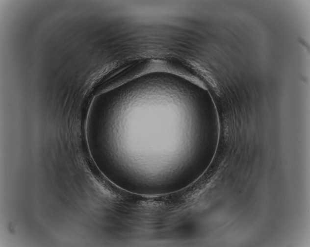 X0000091490633200708231423