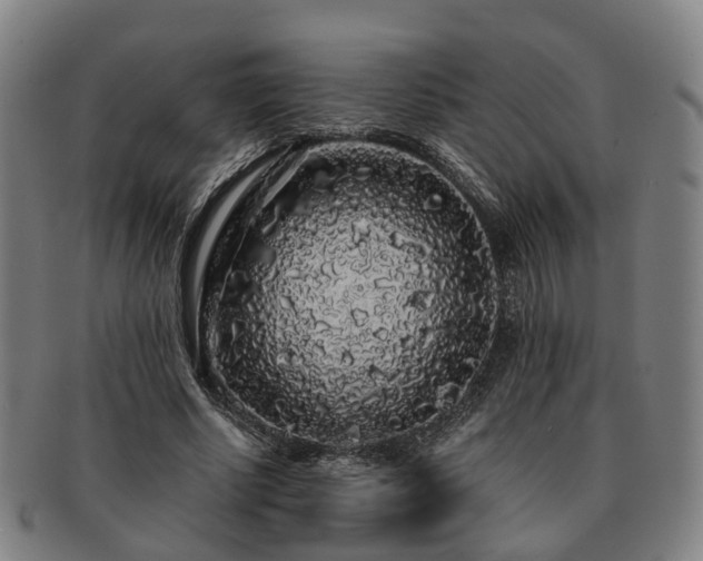 X0000091490634200708231423