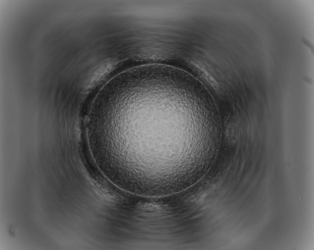 X0000091490635200708231423