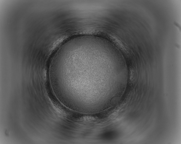 X0000091490636200708231423