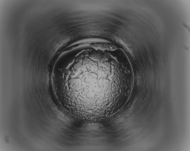 X0000091490637200708231423
