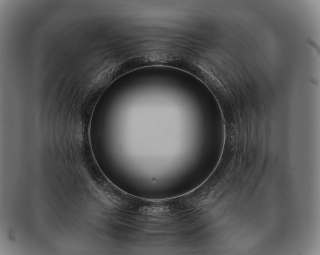 X0000091490639200708231423