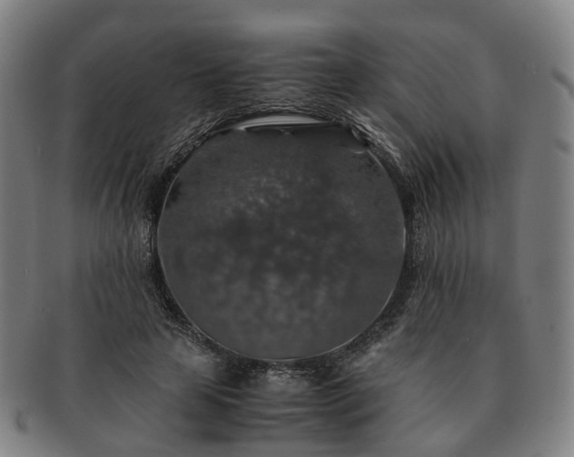 X0000091490641200708231423
