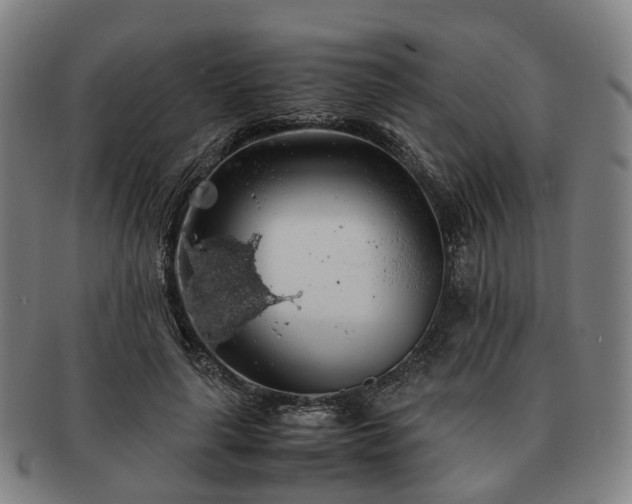 X0000091490643200708231423