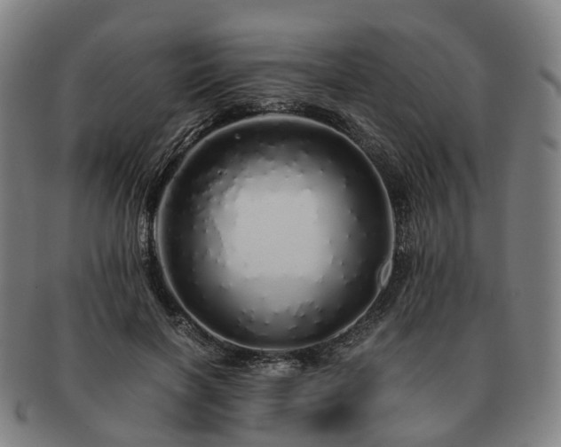X0000091490646200708231423