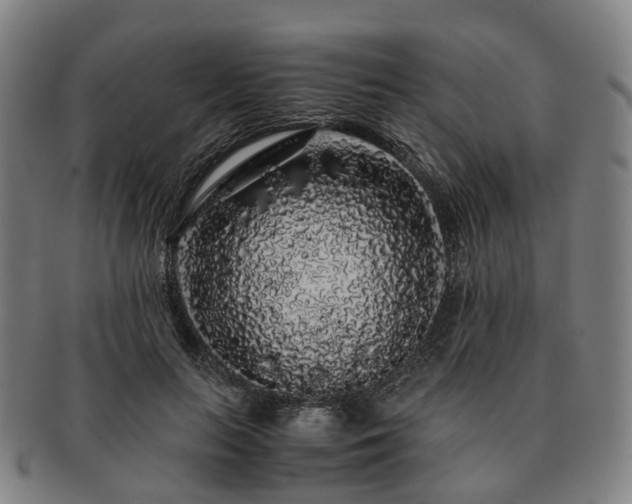 X0000091490647200708231423