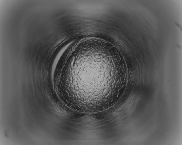 X0000091490648200708231423