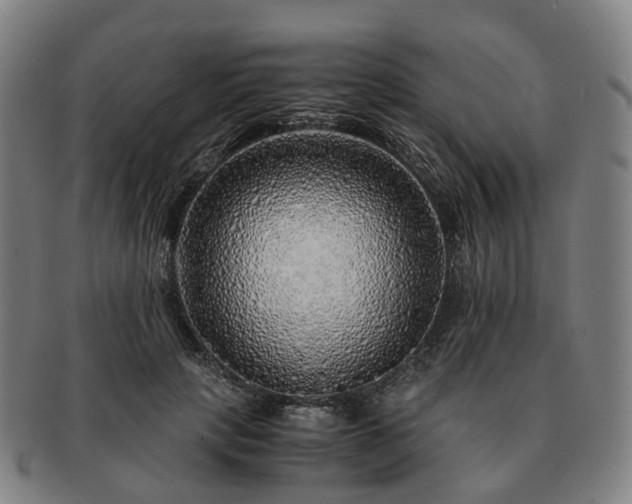 X0000091490649200708231423