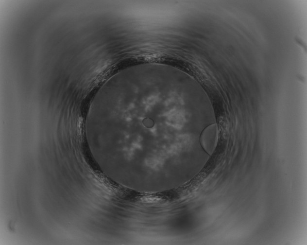 X0000091490650200708231423