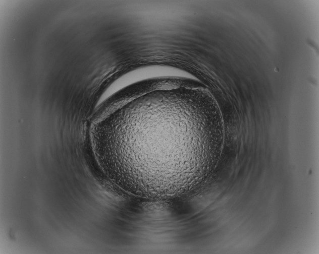 X0000091490652200708231423