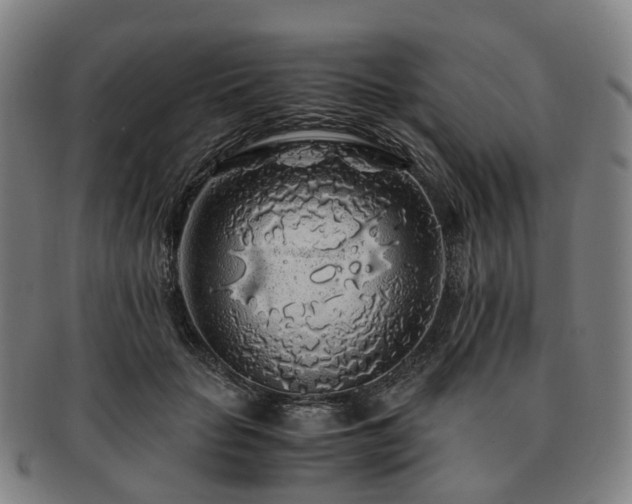X0000091490653200708231423