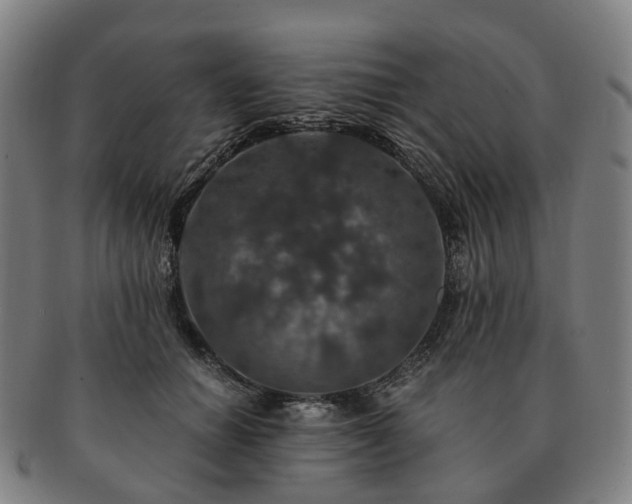 X0000091490654200708231423