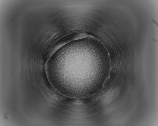 X0000091490656200708231423