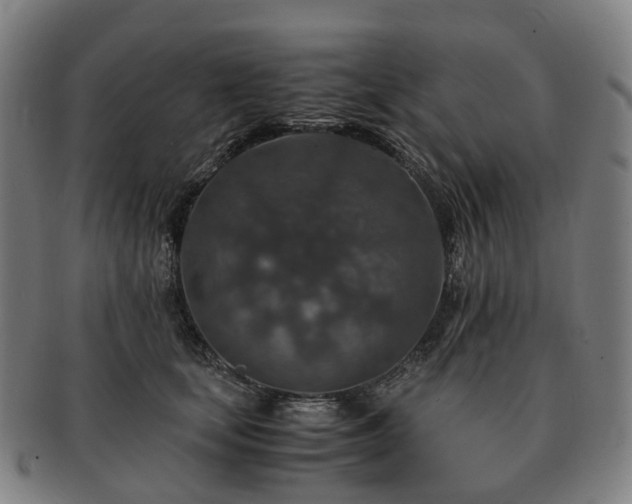 X0000091490659200708231423