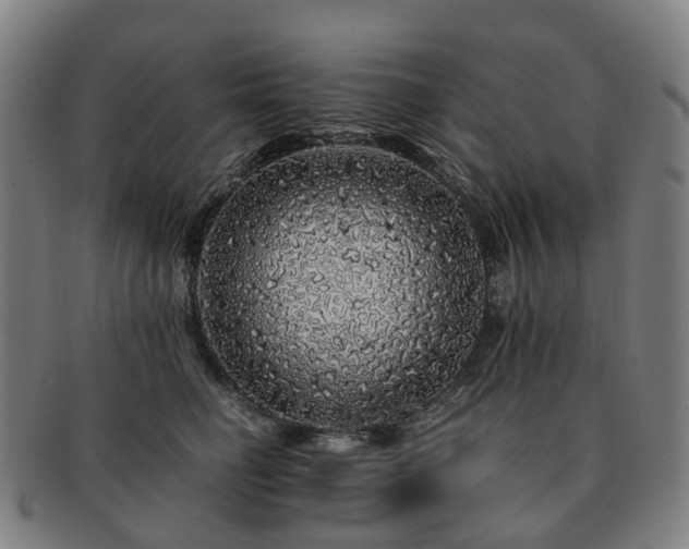 X0000091490662200708231423