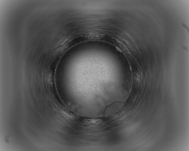 X0000091490663200708231423