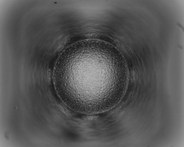 X0000091490664200708231423