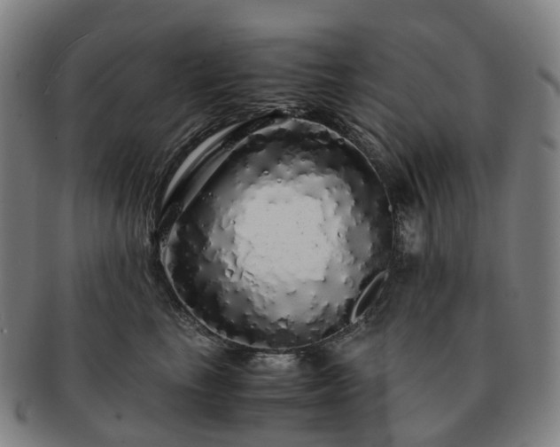 X0000091490665200708231423