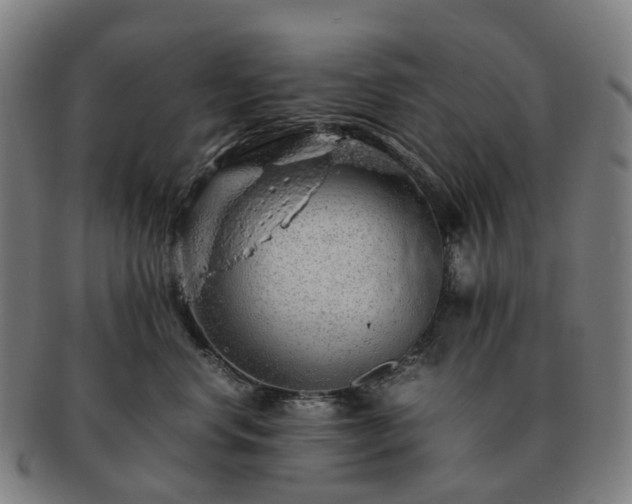 X0000091490668200708231423
