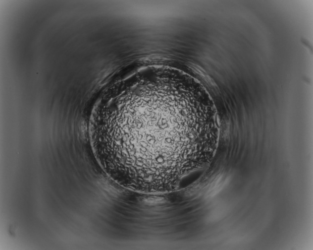 X0000091490669200708231423